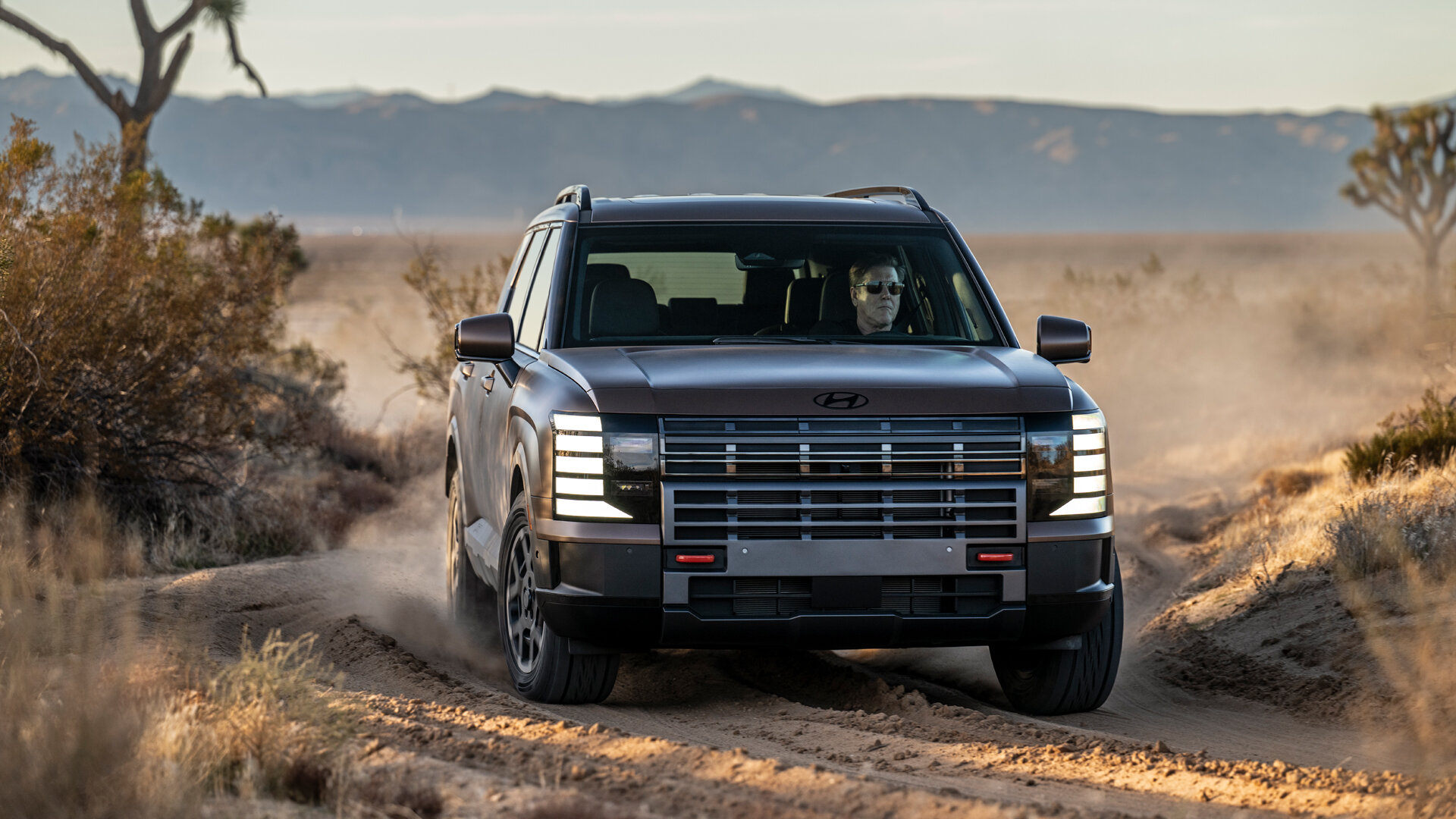 Новый Hyundai Palisade получил особо внедорожную версию с V6