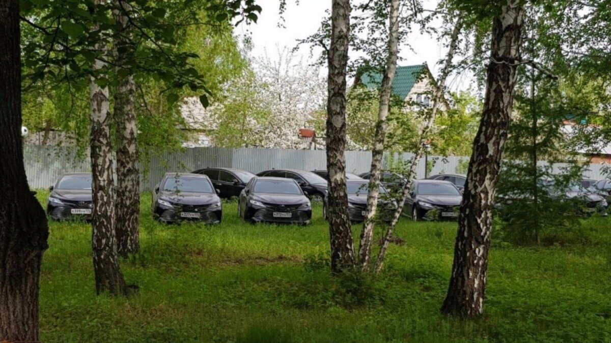 Брошенные в лесу Тойоты отправят на борьбу с коронавирусом