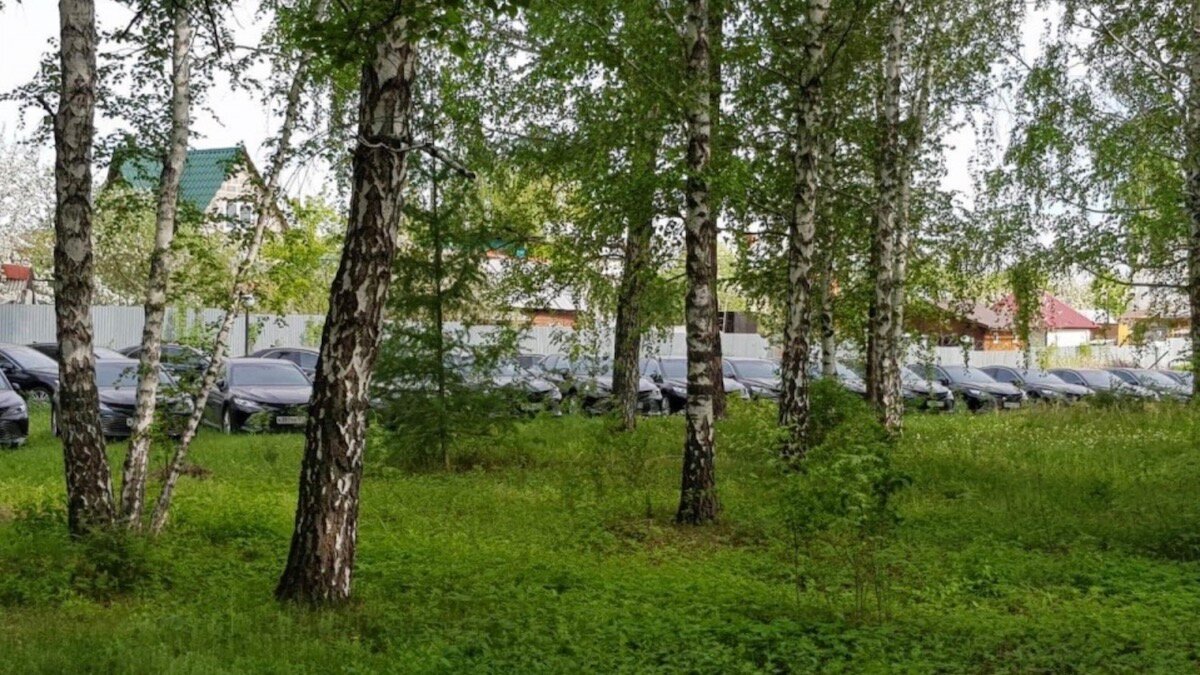 В челябинском лесу нашли 56 новых Toyota Camry 