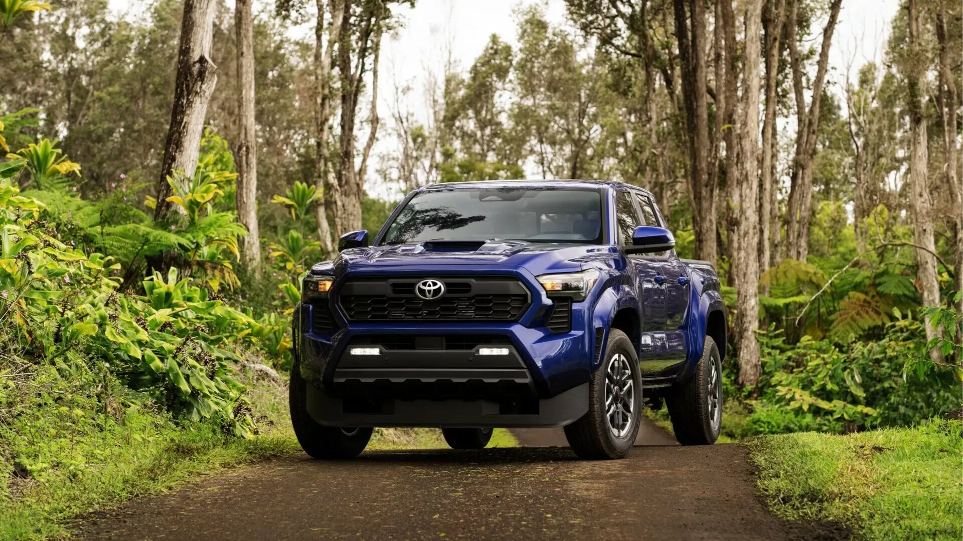 Toyota отзовёт около 400 тысяч пикапов и внедорожников, но по разным причинам