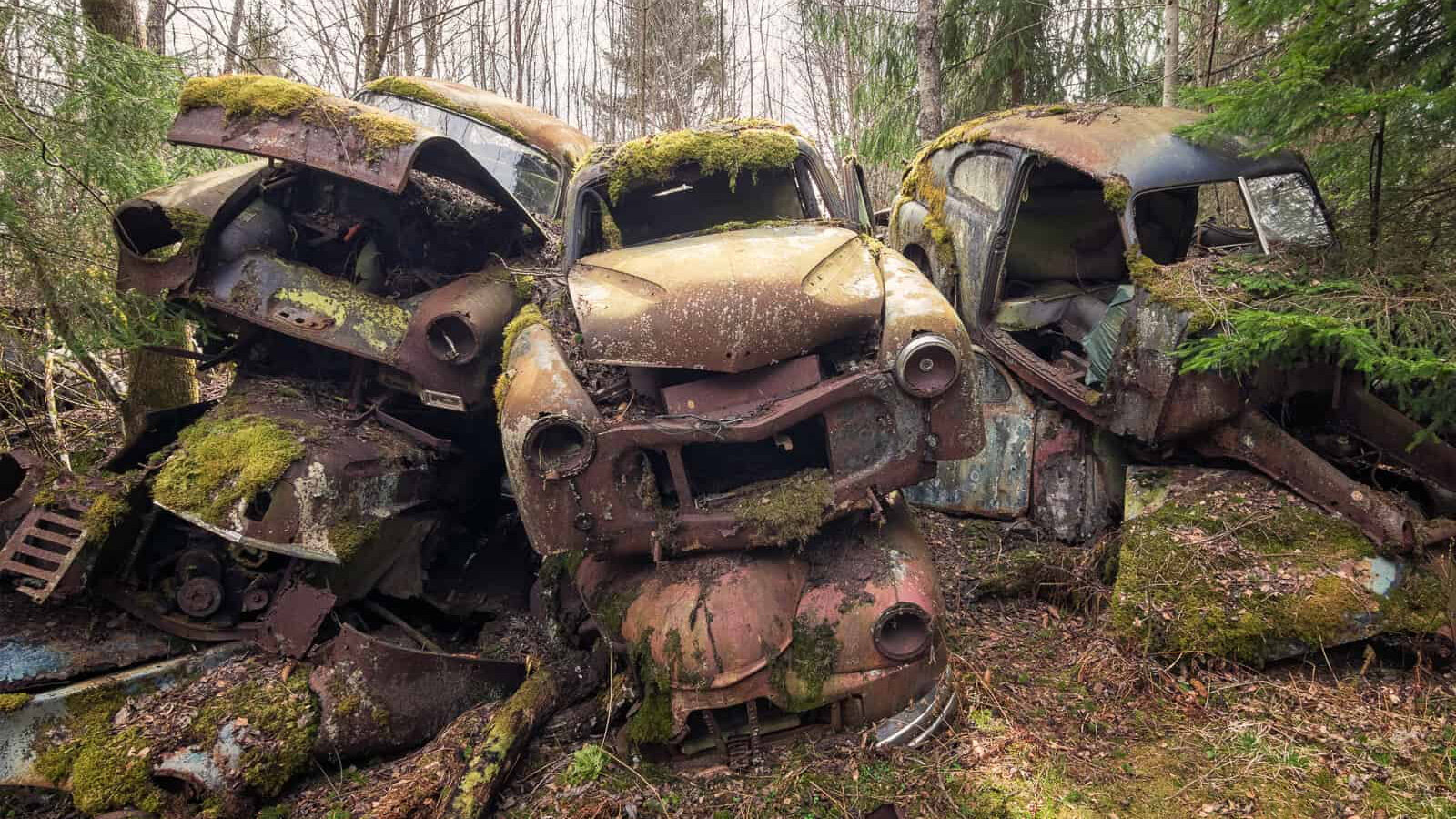 Автомобильная Вальхалла в шведском лесу. Фотопост