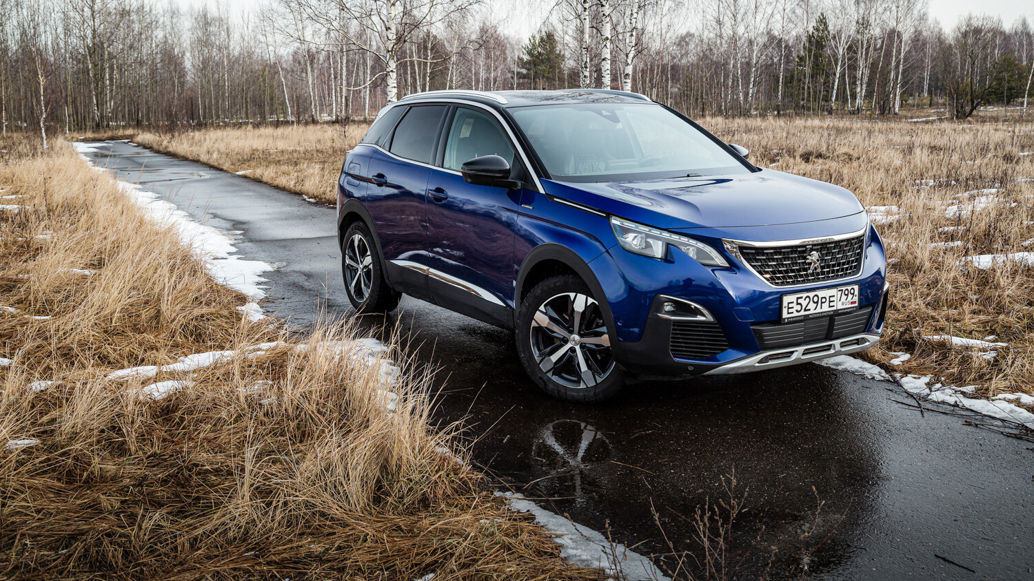 Лев против: подробный тест Peugeot 3008