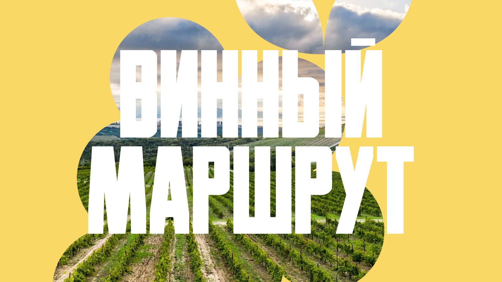 Улитки, греки, единороги, вино. Эногастрономический маршрут по югу России на 4 дня