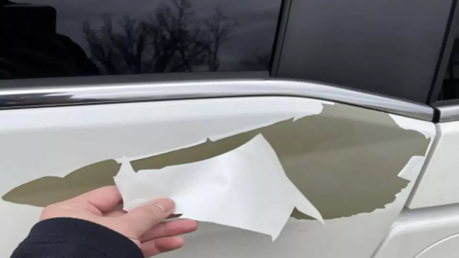 На Honda снова подали в суд из-за отслаивающейся краски